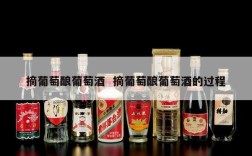 摘葡萄酿葡萄酒  摘葡萄酿葡萄酒的过程