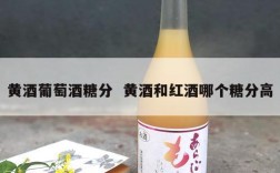 黄酒葡萄酒糖分  黄酒和红酒哪个糖分高