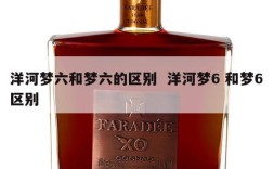 洋河梦六和梦六的区别  洋河梦6 和梦6区别