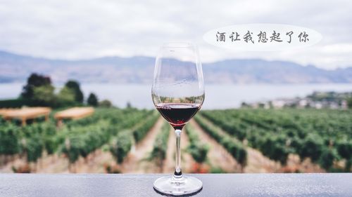 葡萄酒的制作范文，葡萄酒的制作流程-图1