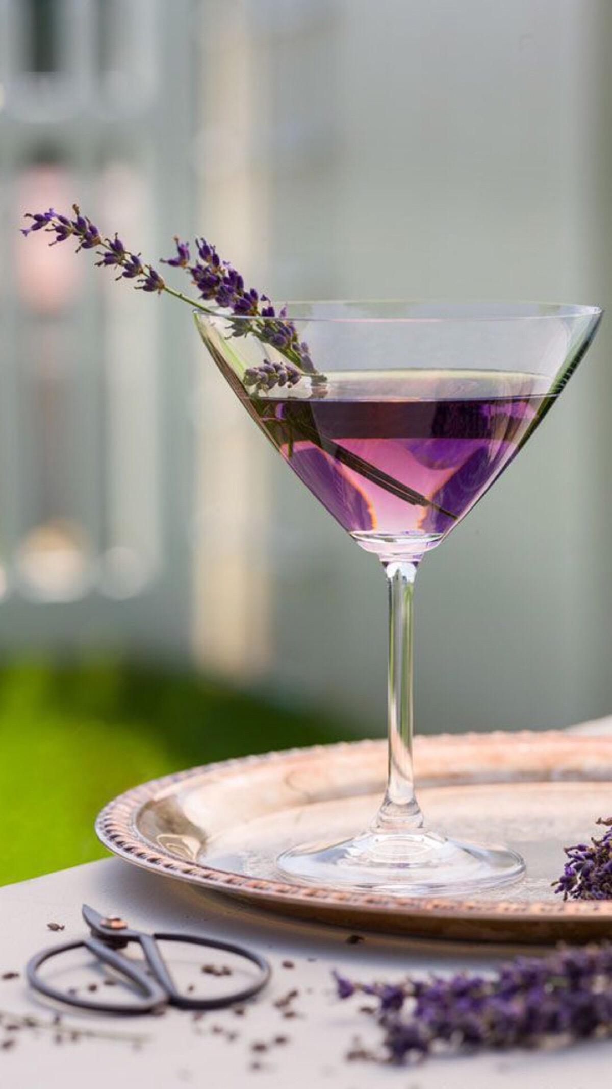 鹿茸血酒35度多少钱一瓶，鹿茸血酒的用法与用量-图1